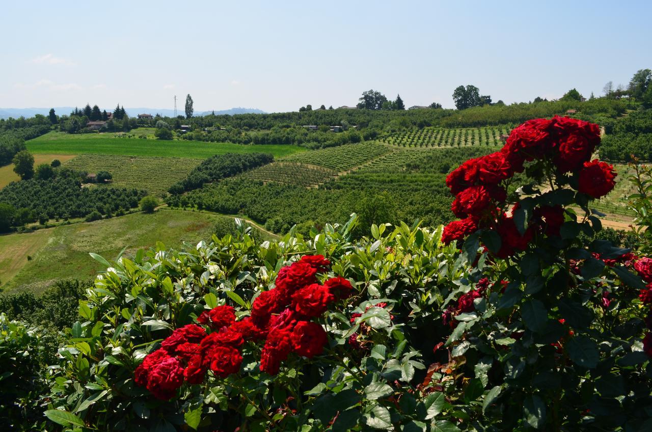 Ca' Borghino Villa Alba  Buitenkant foto